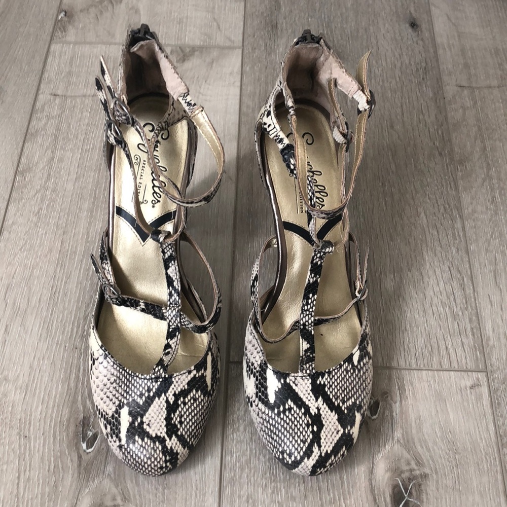 Seychelles rattlesnake heels